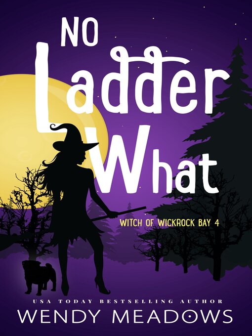 Title details for No Ladder What by Wendy Meadows - Available
